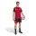 adidas DFB Trainingstrikot Herren WM2026 - rot/gold/schwarz