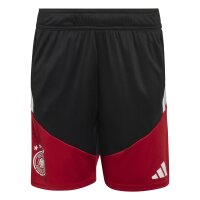 adidas DFB Trainingsshorts Kinder WM2026 -...