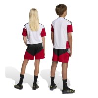 adidas DFB Trainingsshorts Kinder WM2026 - schwarz/rot/weiß