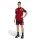 adidas DFB Poloshirt Herren WM2026 - rot/gold/schwarz