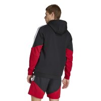 adidas DFB Sweat Hoodie Herren WM2026 - schwarz/gold/rot