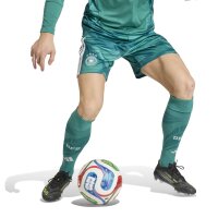 adidas DFB Home Torwartshorts Herren WM2026 - grün/weiß