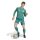 adidas DFB Home Torwartshorts Herren WM2026 - grün/weiß