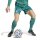 adidas DFB Home Torwartshorts Herren WM2026 - grün/weiß