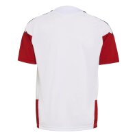 adidas DFB Trainingstrikot Kinder WM2026 -...