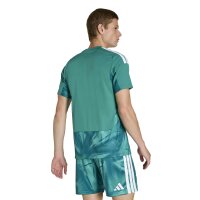 adidas DFB Home Torwarttrikot Herren WM2026 - grün/weiß