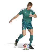 adidas DFB Home Torwarttrikot Herren WM2026 - grün/weiß