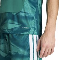 adidas DFB Home Torwarttrikot Herren WM2026 - grün/weiß