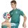 adidas DFB Home Torwarttrikot Herren WM2026 - grün/weiß