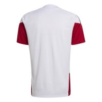 adidas DFB Trainingstrikot Herren WM2026 -...