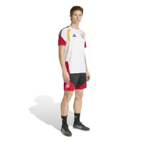 adidas DFB Trainingstrikot Herren WM2026 - weiß/schwarz/rot/gold
