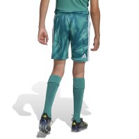 adidas DFB Home Torwartshorts Kinder WM2026 - grün/weiß