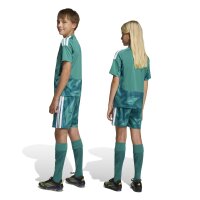 adidas DFB Home Torwartshorts Kinder WM2026 - grün/weiß
