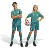 adidas DFB Home Torwartshorts Kinder WM2026 - grün/weiß