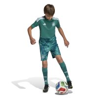 adidas DFB Home Torwarttrikot Kinder WM2026 - grün/weiß