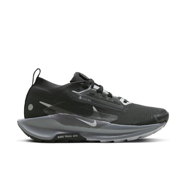 Nike Pegasus Trail 5 GORE-TEX Herren - schwarz/grau
