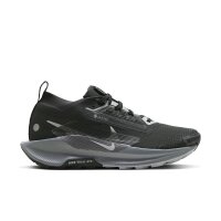 Nike Pegasus Trail 5 GORE-TEX Herren - schwarz/grau