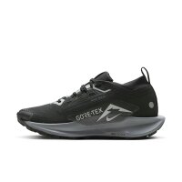 Nike Pegasus Trail 5 GORE-TEX Herren - schwarz/grau