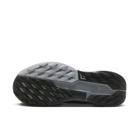 Nike Pegasus Trail 5 GORE-TEX Herren - schwarz/grau