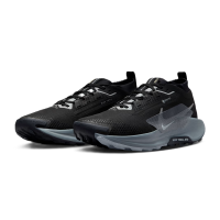 Nike Pegasus Trail 5 GORE-TEX Herren - schwarz/grau