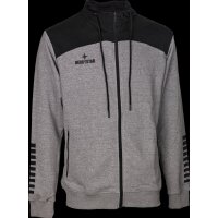Derbystar Kapuzen-Sweatjacke Ultimo v23 - grau/schwarz