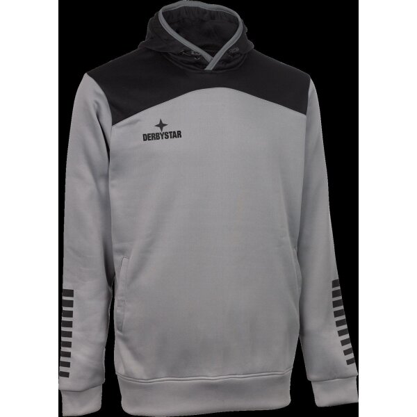 Derbystar Kapuzenpullover Ultimo v23 - grau/schwarz