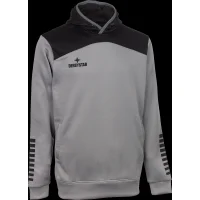 Derbystar Kapuzenpullover Ultimo v23 - grau/schwarz