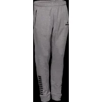 Derbystar Sweathose Ultimo v23 - grau