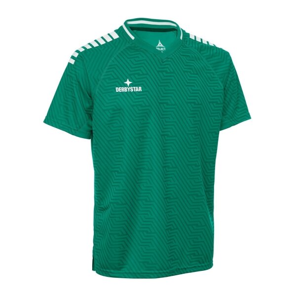 Derbystar Trikot Kurzarm Primo v24 - grün/weiss