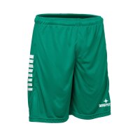 Derbystar Hose Kurz Primo v24 - grün/weiss