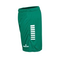 Derbystar Hose Kurz Primo v24 - grün/weiss
