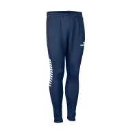 Derbystar Trainingshose Regular Primo v24 - navy/weiss