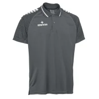 Derbystar Polo-Shirt Primo v24 - grau/weiss