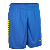Derbystar Hose Kurz Madrid v25 - grau/weiss