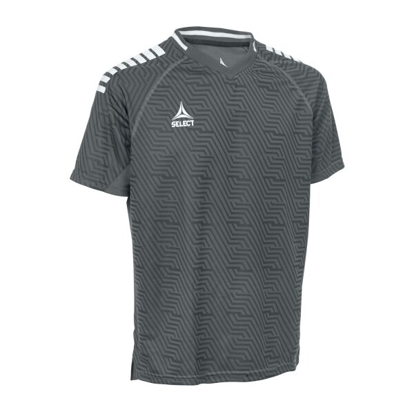 Select Monaco Polo-Shirt v24 - grau/weiss