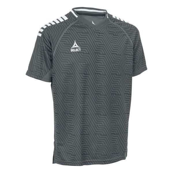 Select Monaco Polo-Shirt v24 Unisex - grau/weiß
