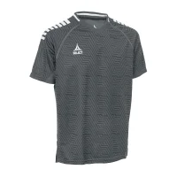 Select Monaco Polo-Shirt v24 - grau/weiss