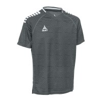 Select Monaco Polo-Shirt v24 - grau/weiss