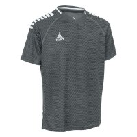 Select Monaco Polo-Shirt v24 Unisex - grau/weiß