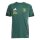 Budo Sport Kaarst x adidas Tiro 25 Competition Trainingstrikot Herren - grün/weiß