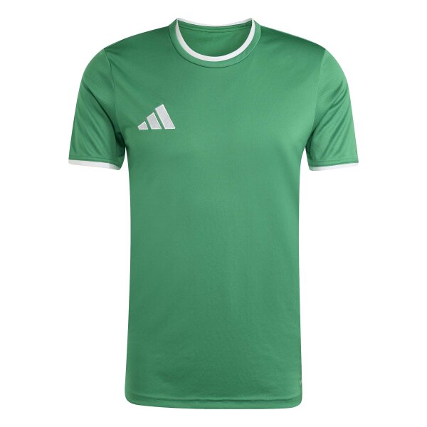 adidas Entrada 26 Trikot Herren - team green/white