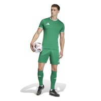 adidas Entrada 26 Trikot Herren - team green/white