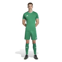 adidas Entrada 26 Trikot Herren - team green/white