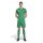 adidas Entrada 26 Trikot Herren - team green/white
