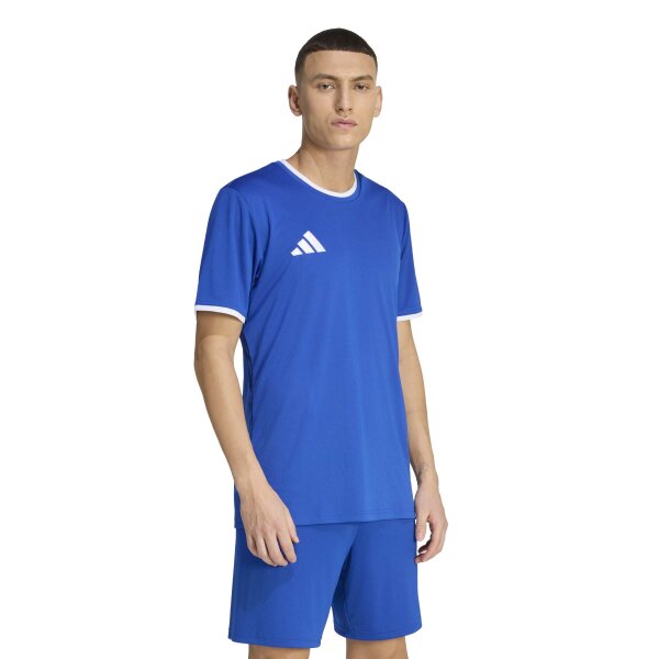 adidas Entrada 26 Trikot Herren - team royal blue/white