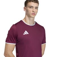 adidas Entrada 26 Trikot Herren - team maroon 2/white