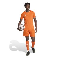 adidas Entrada 26 Trikot Herren - team orange/white