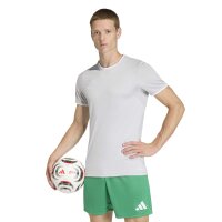 adidas Entrada 26 Trikot Herren - team light grey/white