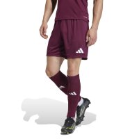 adidas Entrada 26 Shorts Herren - team maroon 2/white