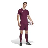 adidas Entrada 26 Shorts Herren - team maroon 2/white